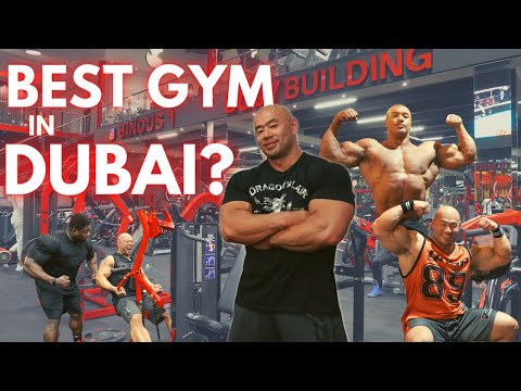 TRAINING IN DUBAI GRAVITY Calisthenics Gym