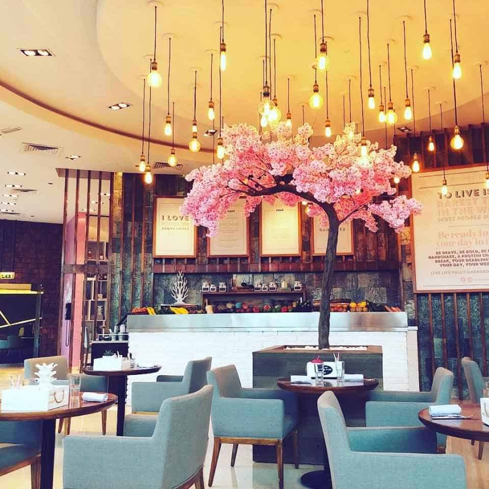 Bounty Beets Dubai