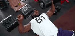 Ahmed wolf at binous gym