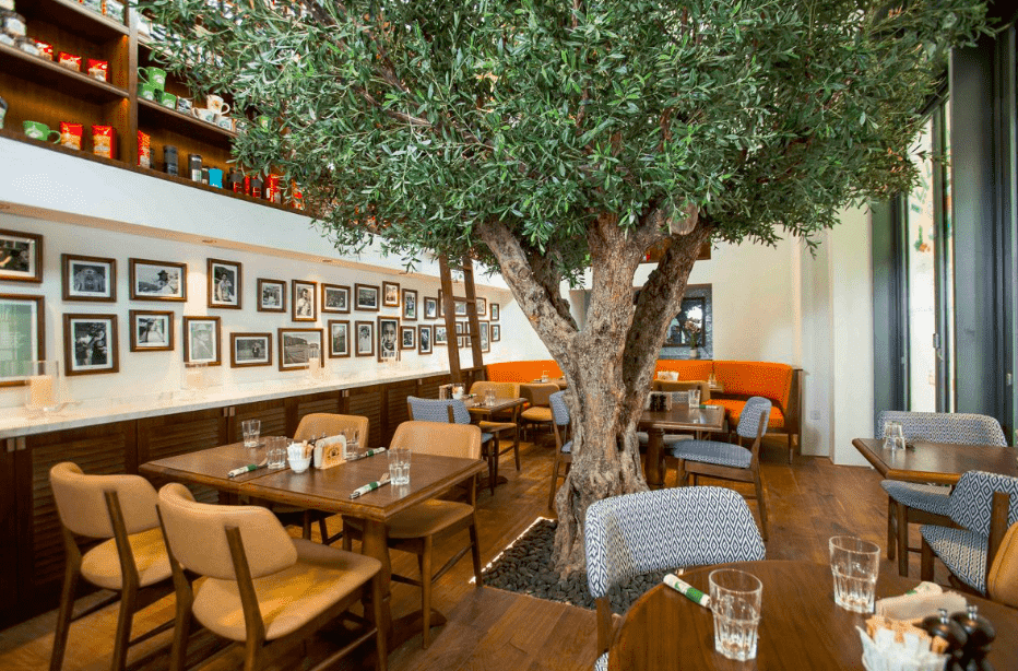 urth caffe restuarant dubai