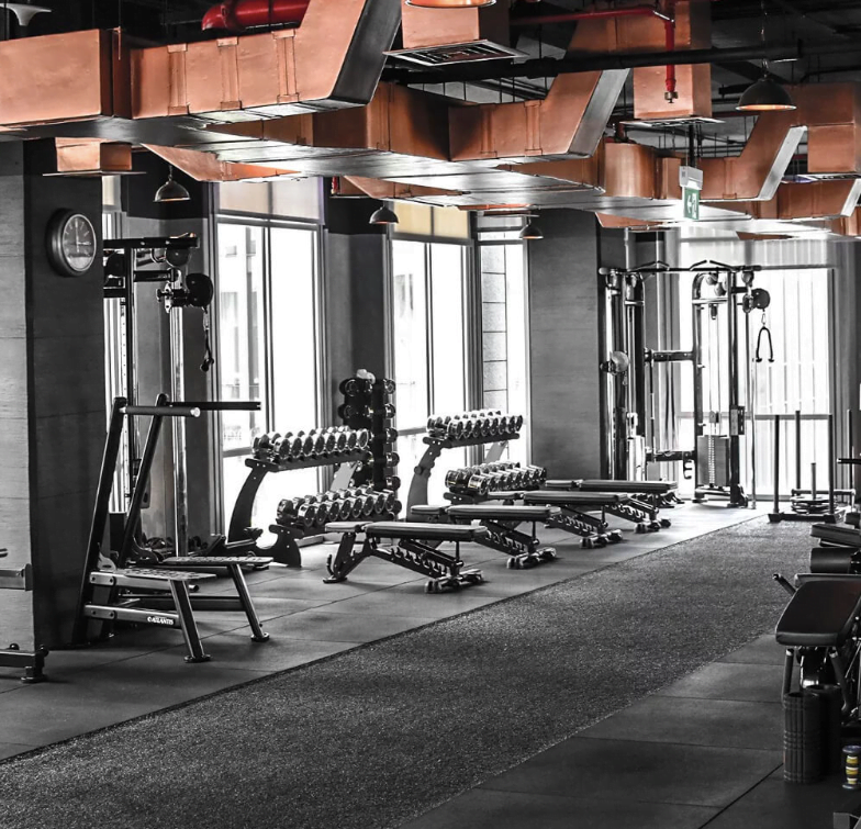 d5 executive gym